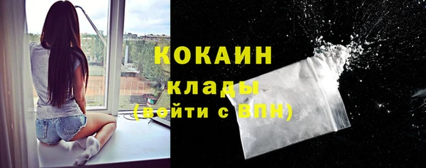 бошки Новозыбков