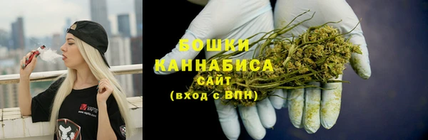 бошки Новозыбков