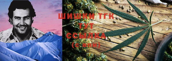 не бодяженный Заводоуковск