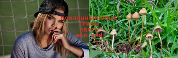 соль курить ск Балабаново