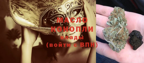 индика Баксан