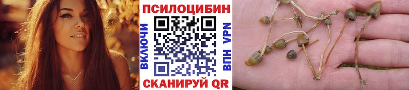 Псилоцибиновые грибы Magic Shrooms  Грозный 