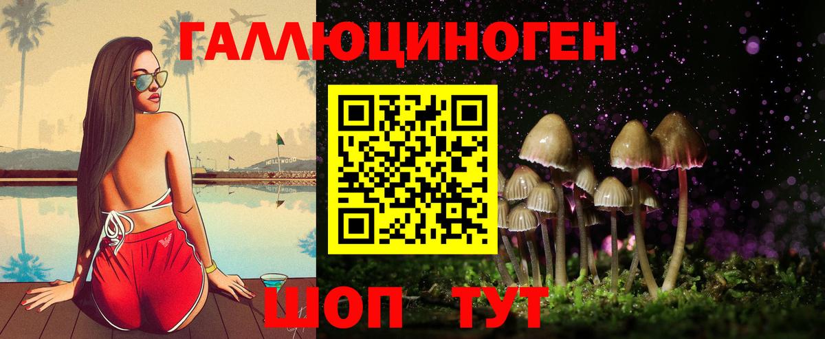 Галлюциногенные грибы Psilocybine cubensis  Вход с VPN  Грозный 
