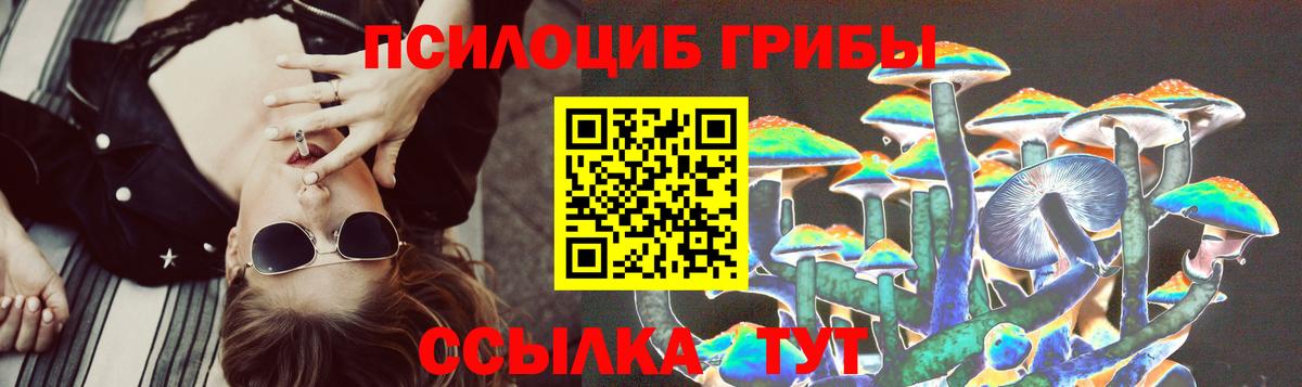 Галлюциногенные грибы Psilocybine cubensis Грозный